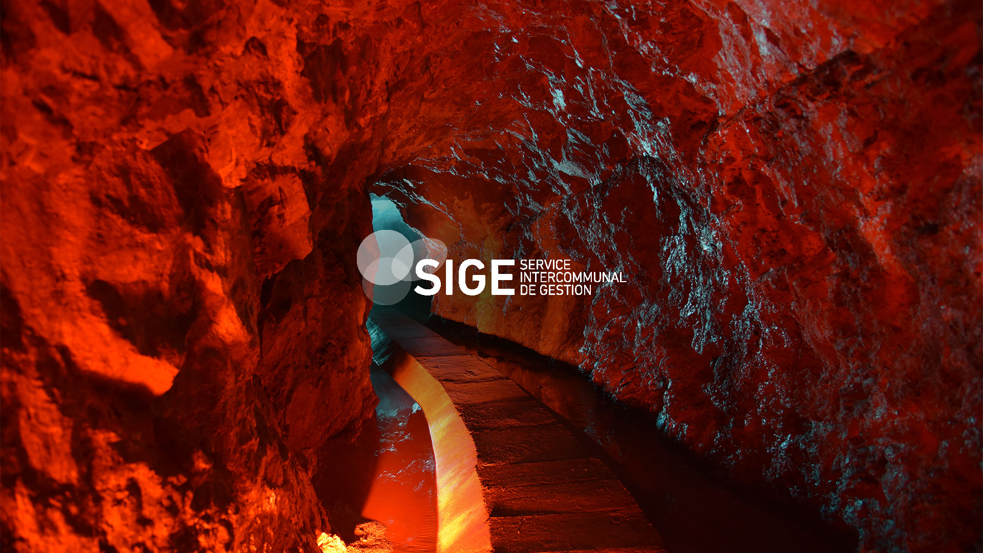 SIGE – Rapport de Gestion 2024